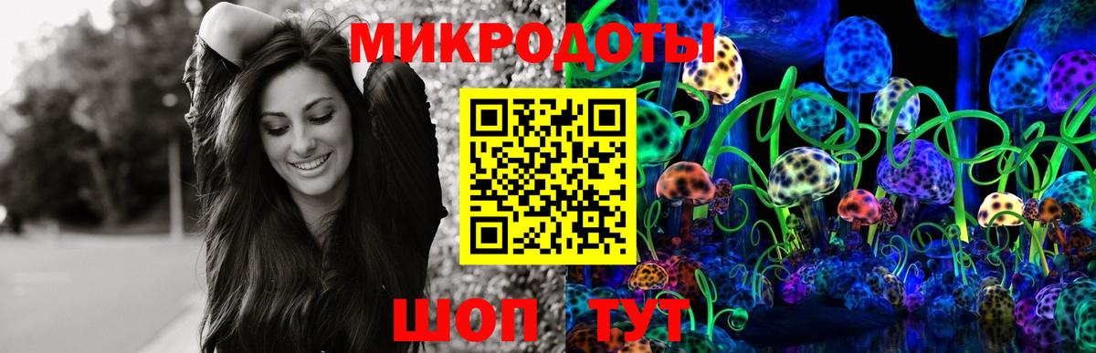 Зеленогорск  Псилоцибиновые грибы мухоморы  Псилоцибиновые грибы мицелий  Вход с VPN 